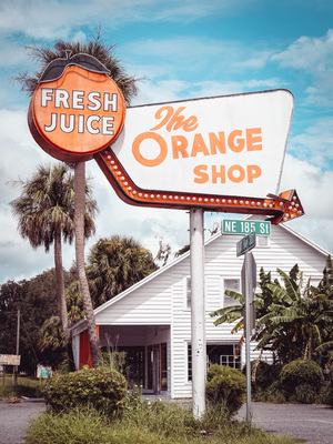 Discovering Old Florida